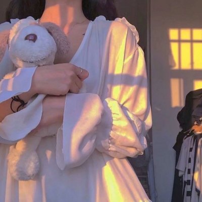 沉香如屑·沉香重华